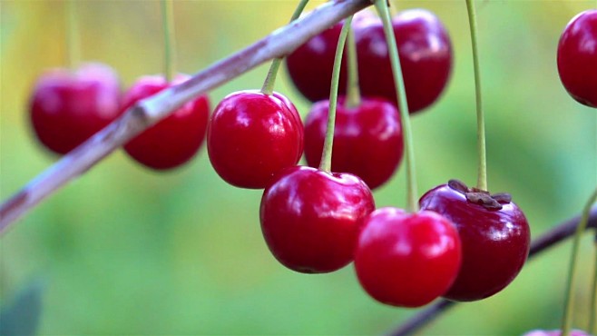 古惑镇激斗少年2 产品图片