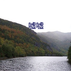 便利贴 产品图片