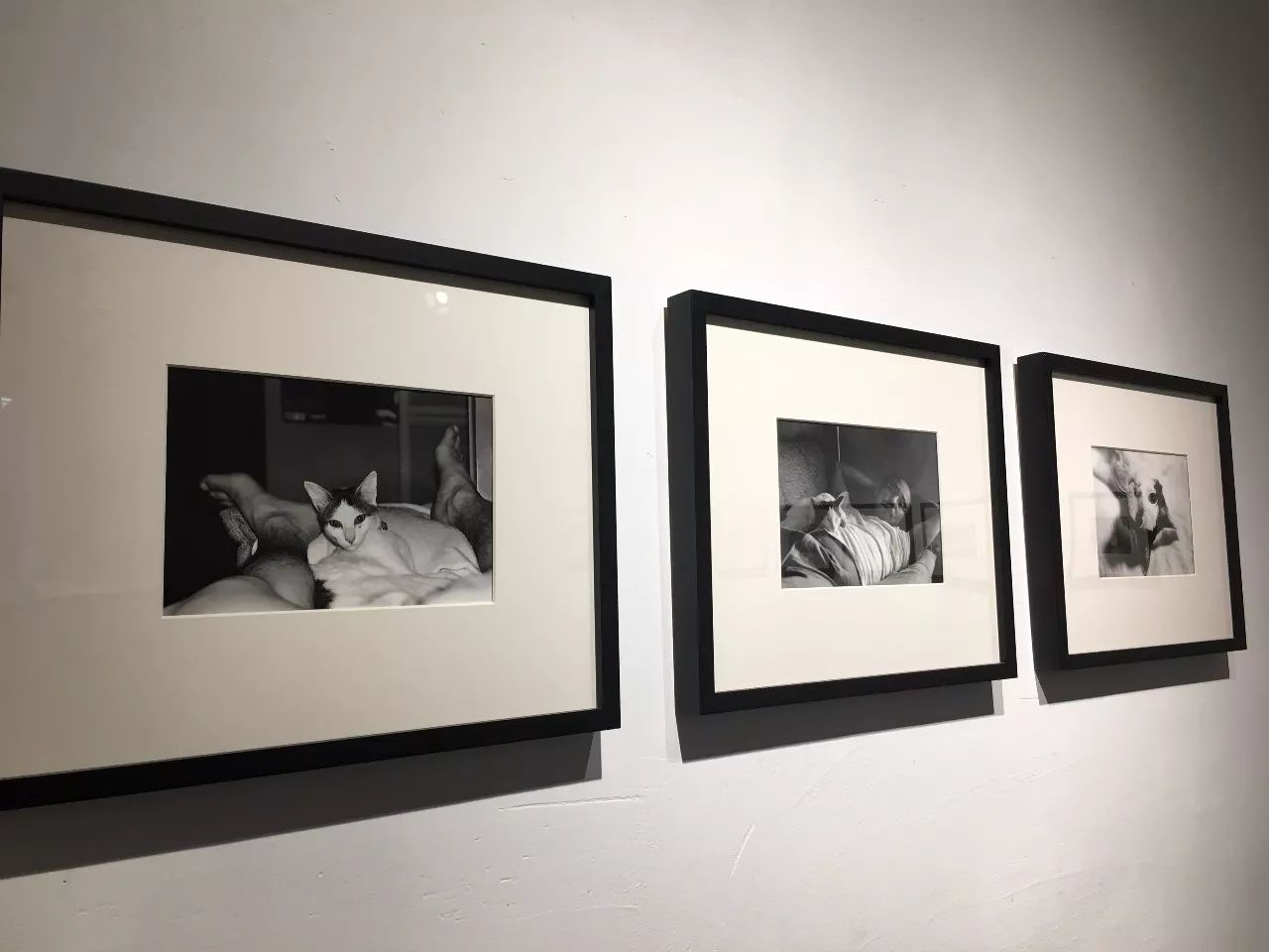 冥婚红包 相关产品