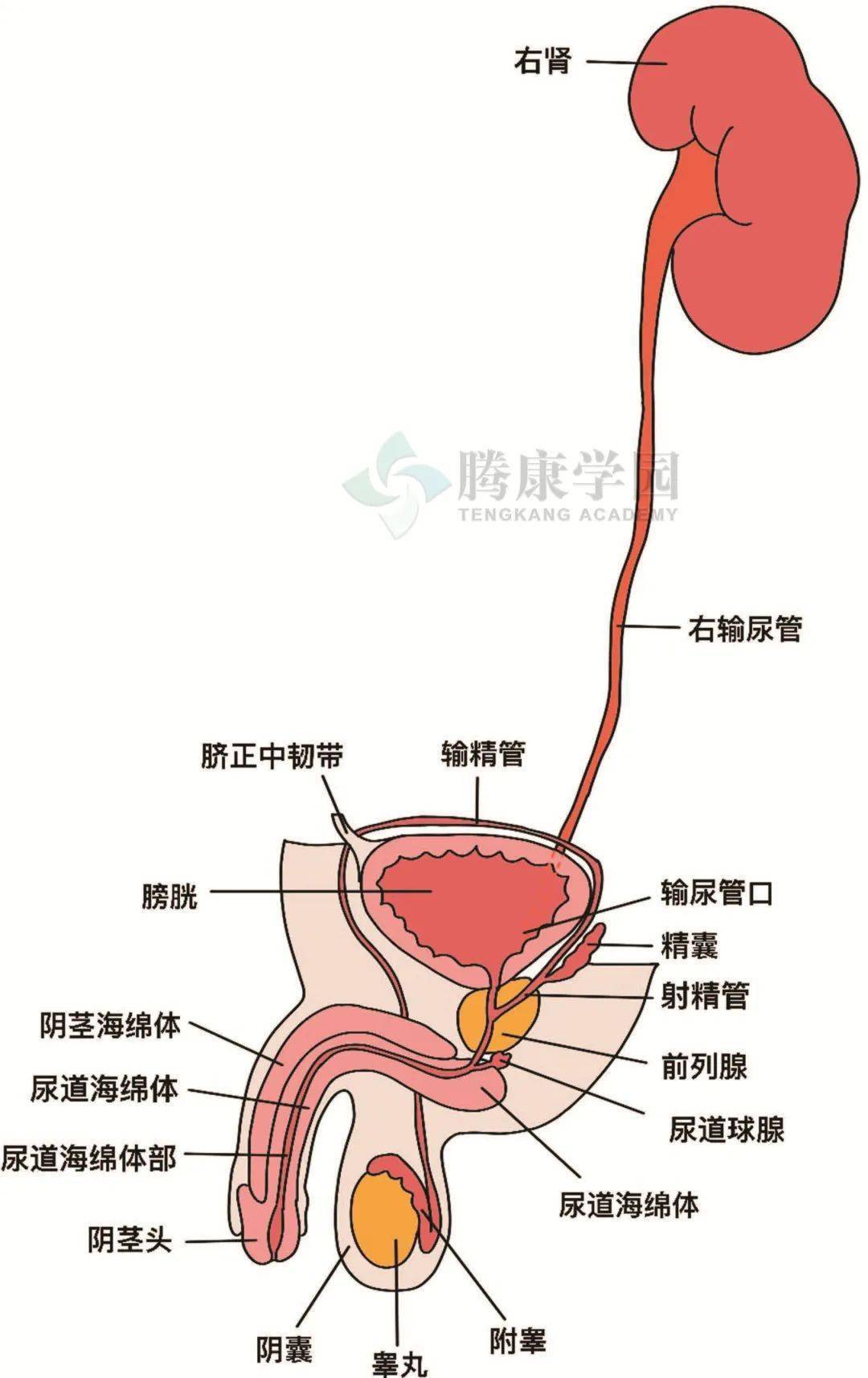 人生不设限 产品主图
