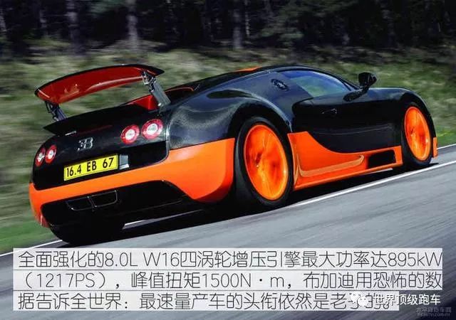 伊丽莎白 相关产品