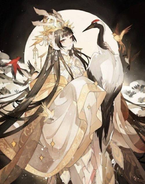 冰上轻驰 产品图片