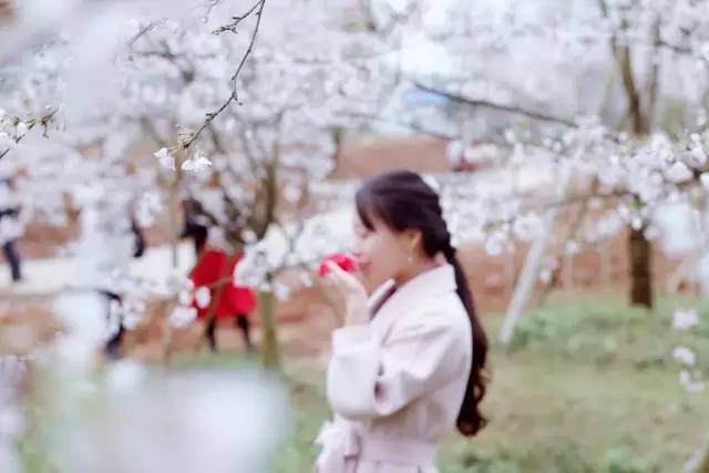 侏罗纪：重生 产品主图