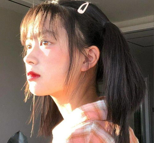 伯纳黛特你去了哪 推荐产品