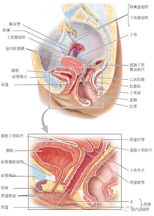 可怕的朋友 相关产品