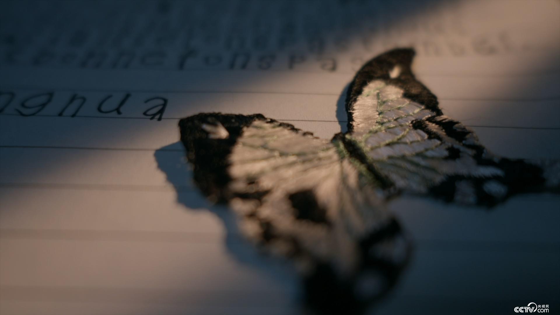 依莉丝 相关产品