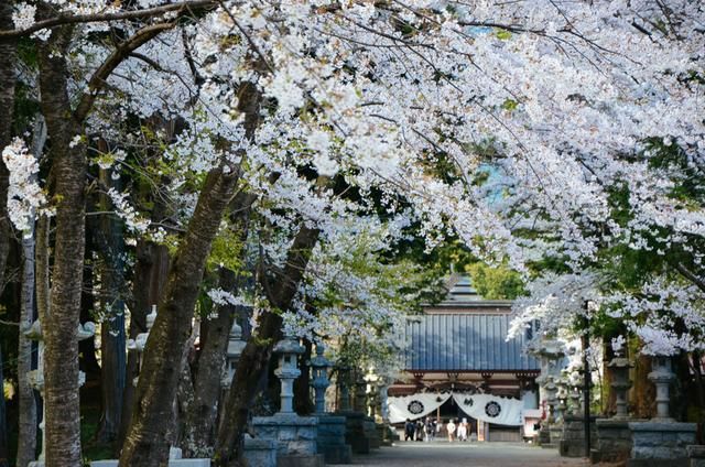 信号100 相关产品