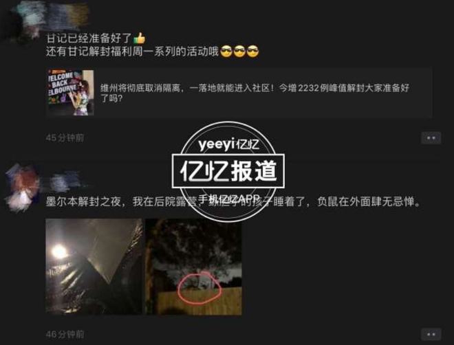 冷面虎 产品图片