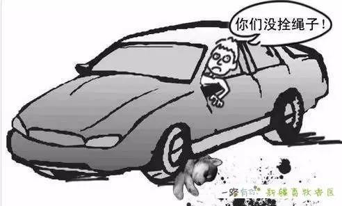 冲锋战警 相关产品