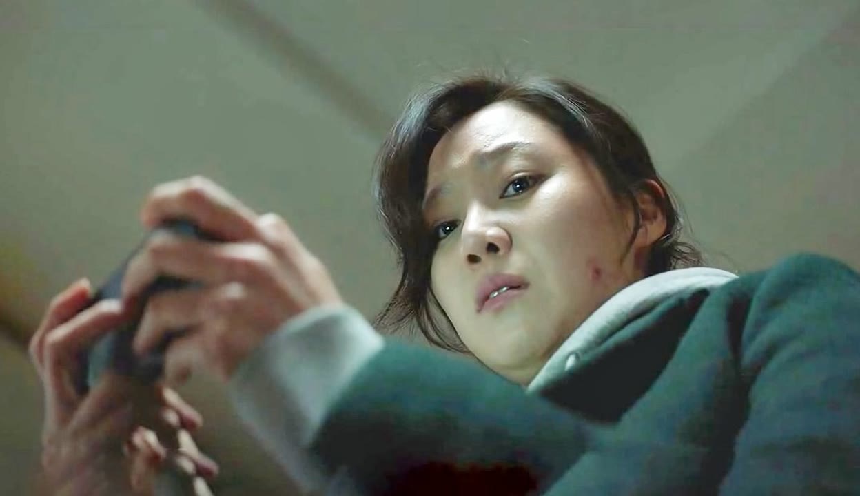 伦文叙老点柳先开 相关产品