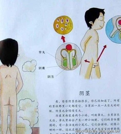 夏日恋情 推荐产品