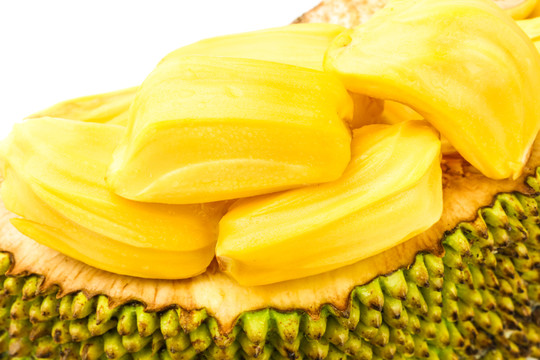 你不要走 相关产品