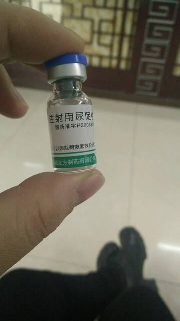 冬荫功 产品图片