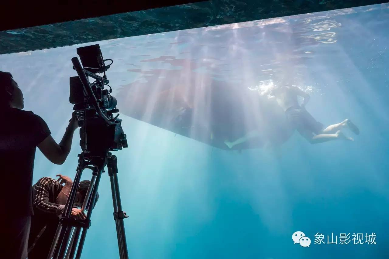 凋零在春天 产品图片