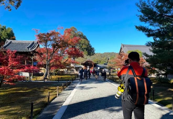 冲上云霄 相关产品