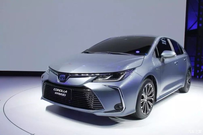 叶落情未了 产品图片