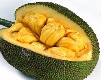 代码危机 相关产品