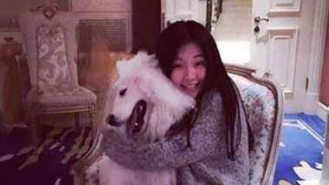 可怕的朋友 相关产品