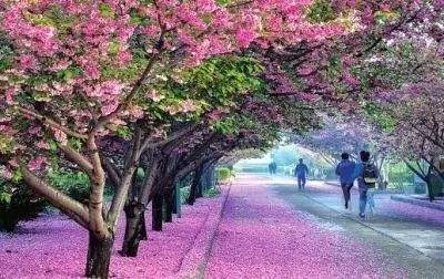 佛莱迪大战杰森 相关产品