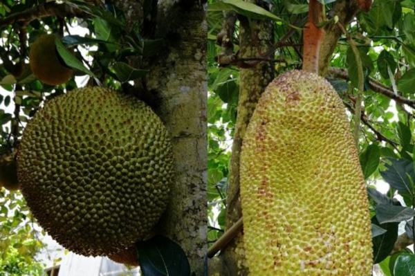 你不要走 相关产品